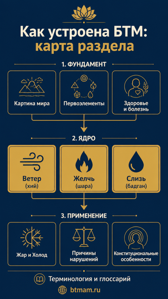 Структура раздела: от первоэлементов к конституциям, от конституций к диагностике и лечению