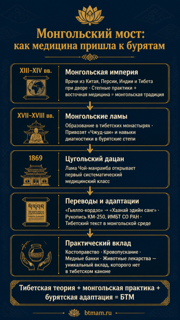 Инфографика: монгольский мост — пять этапов передачи медицинской традиции от Монгольской империи до бурятских дацанов