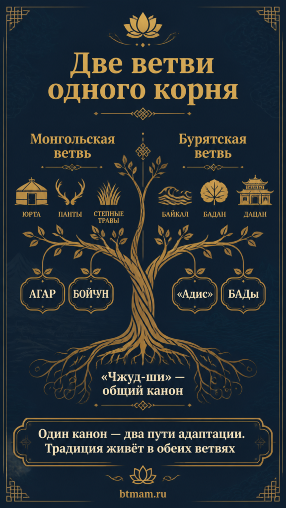 две ветви одного корня - бурятская и монгольская традиционные медицины