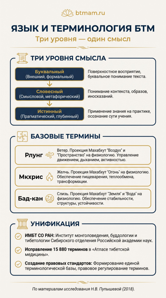 Язык и терминология БТМ